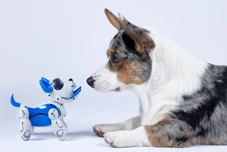 Wat blaft uw hond nu eigenlijk?